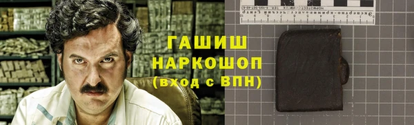 индика Богородск