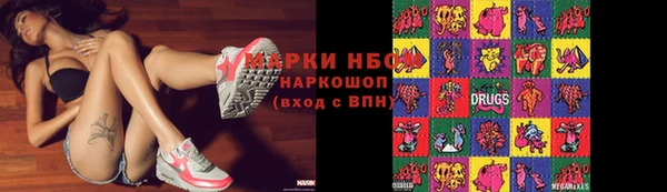 индика Богородск