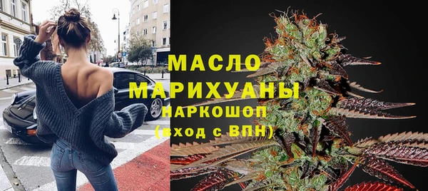 индика Богородск