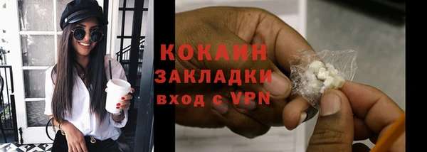 индика Богородск