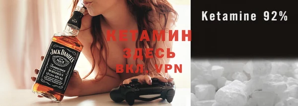 индика Богородск