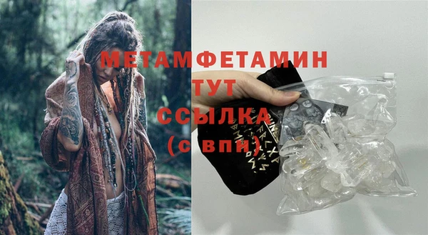 индика Богородск
