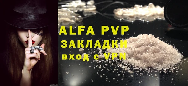 индика Богородск