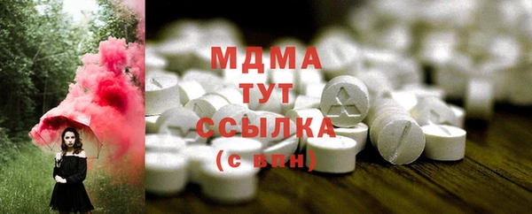индика Богородск