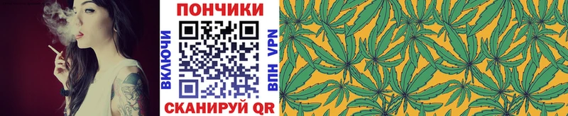 где найти   Дорогобуж  Каннабис Bruce Banner 